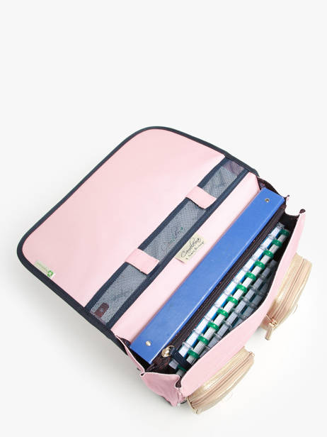 2-compartment Satchel Cameleon Pink vintage family boulanger CA35 other view 3