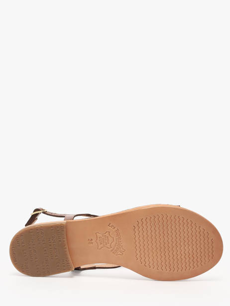 Flip Flops Hamoon In Leather Les tropeziennes Brown accessoires HAMOON other view 4
