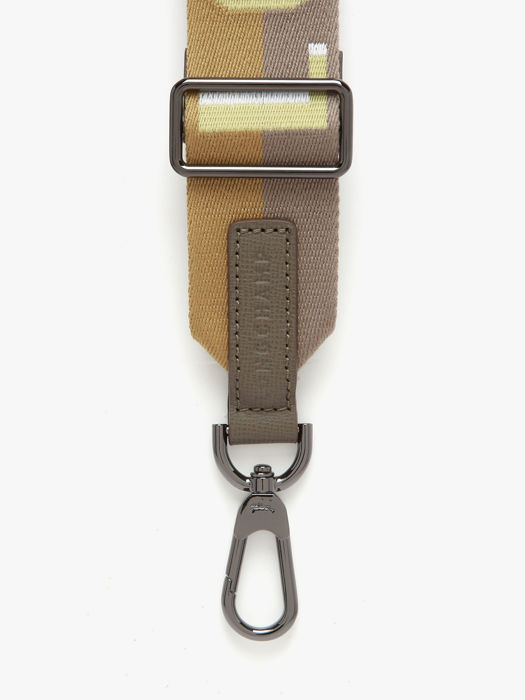 Longchamp Bandoulière ombrée Jewelry Green